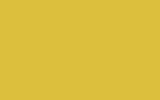 Bombe de peinture -Code ENW - TEINTE : JAUNE ECLAIR - POUR RENAULT  + SPRAY VERNIS 400ML