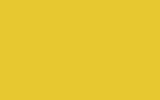 Colorant jaune citron pour peinture pot de 50ml