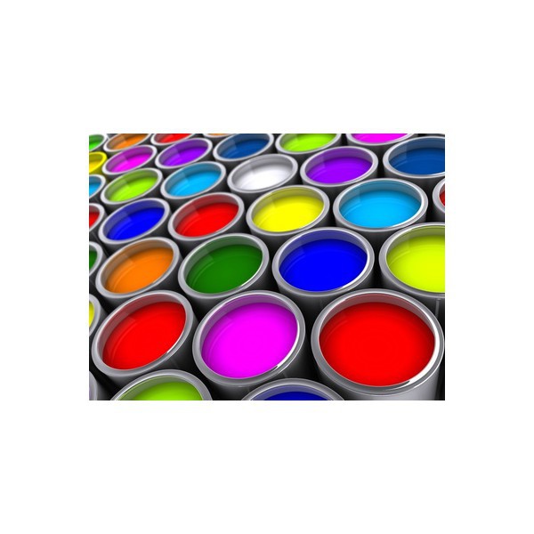 Peinture epoxy  500g (teinte à la demande )+ durcisseur