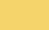 Peinture  RAL 1004 (brillant direct)  3KGS