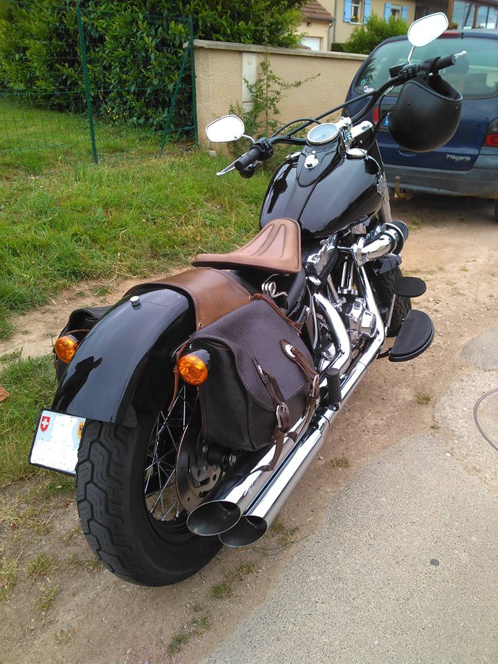 fonte cuir taureau brown