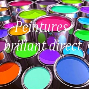 Peinture auto brillant direct 0,5kg +250 ml de durcisseur