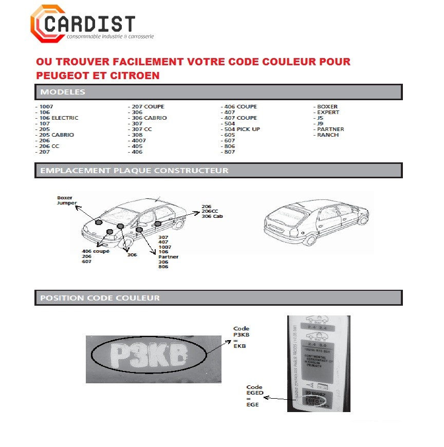 Kit Bombe de peinture-EWP-  pour CITROËN - PEUGEOT + vernis 400ml
